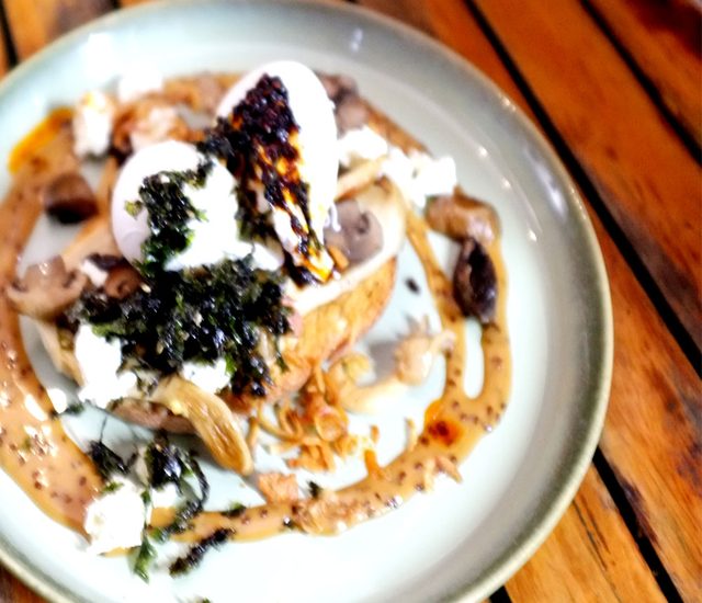Miso Mushroom at Café Portico, Sydney